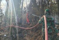 Tangani Karhutla, Seskab Teddy Ungkap Pengerahan 64 Pesawat dan 54.394 Pasukan