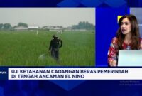 Cadangan Beras Tembus 4,8 Juta Ton, Bagaimana Nasib Kesejahteraan Petani?
