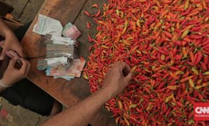 Harga Cabai Rawit Melejit Capai Rp100 Ribu per Kg di Wilayah Sumut
