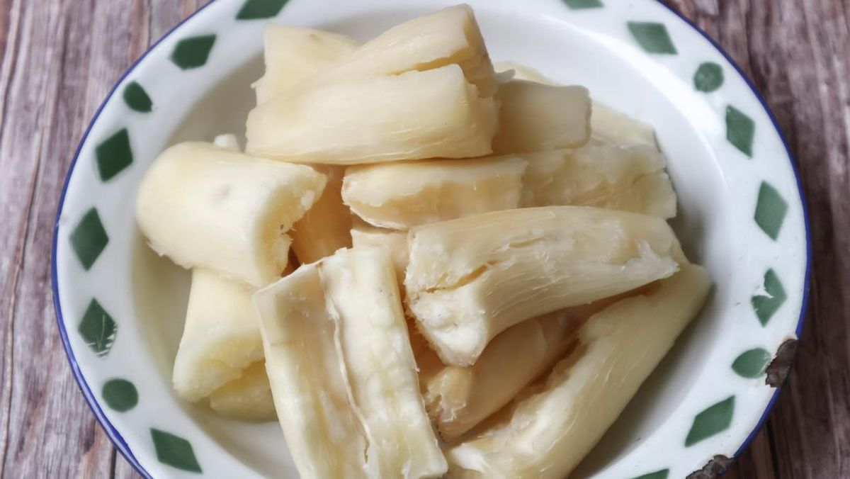 Impor Singkong Disetop, Mentan Amran Ungkap Harga di Petani Meroket Jadi Rp3 Ribu