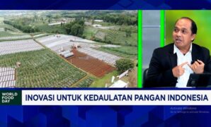 Kementan Siapkan 5 Jurus Jitu Salurkan Benih Padi Unggul bagi Petani