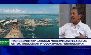 KKP Pacu 4 Pelabuhan Perikanan Berstandar Internasional demi Industri Kelautan